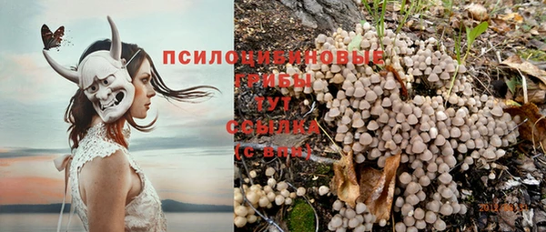 экстази Ладушкин